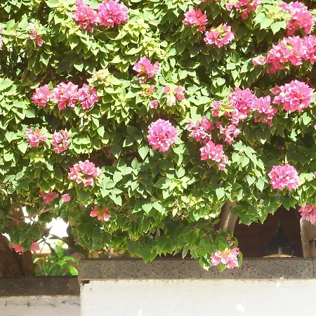 Casa La Tahonilla شقة