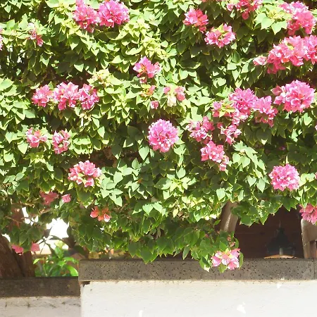 Casa La Tahonilla Apartment