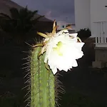 Casa La Tahonilla Lejlighed *