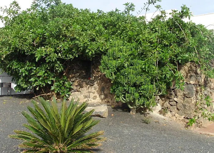 Lägenhet Casa La Tahonilla Tías