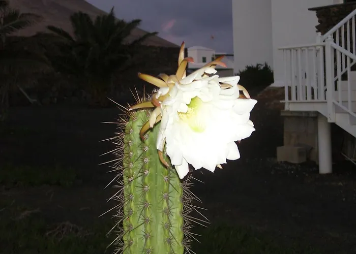 Casa La Tahonilla Lägenhet *