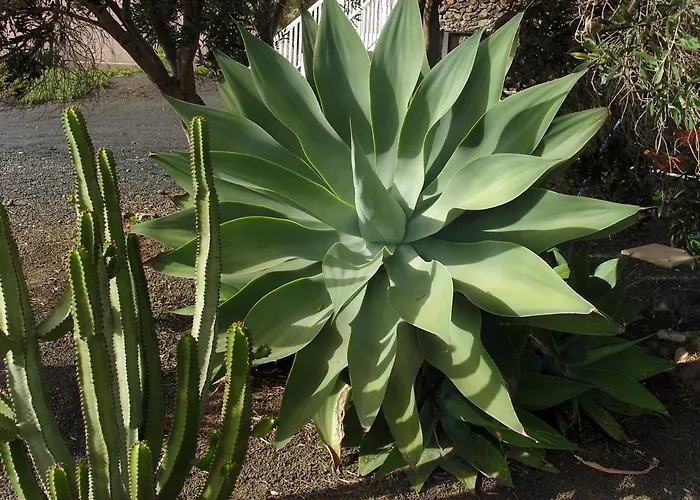Casa La Tahonilla Apartmán Tías