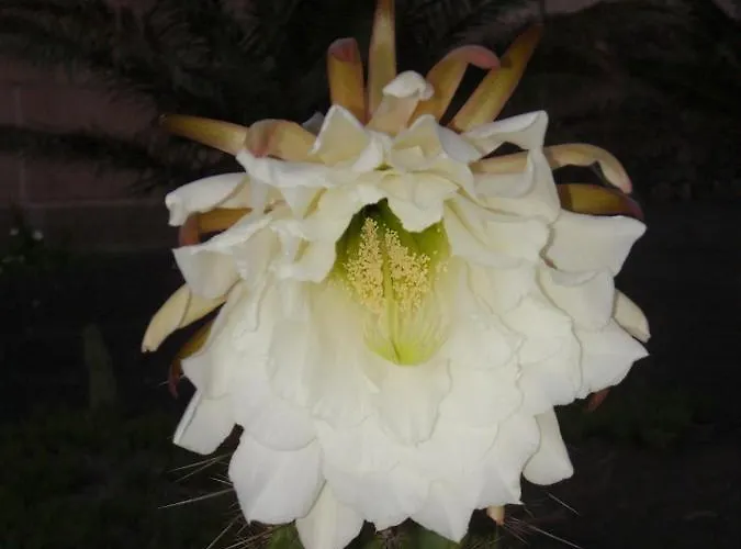 Casa La Tahonilla 蒂亚斯