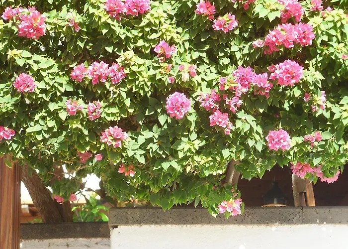 Casa La Tahonilla 公寓